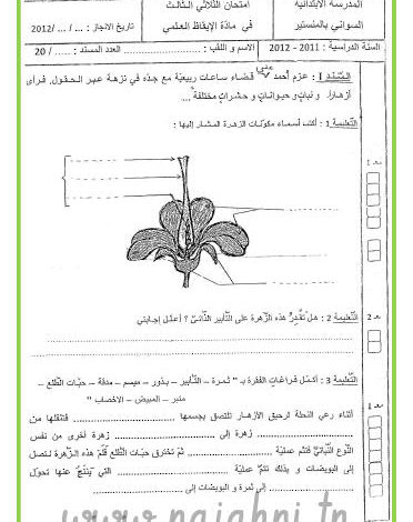 اختبار ايقاظ علمي السنة السادسة