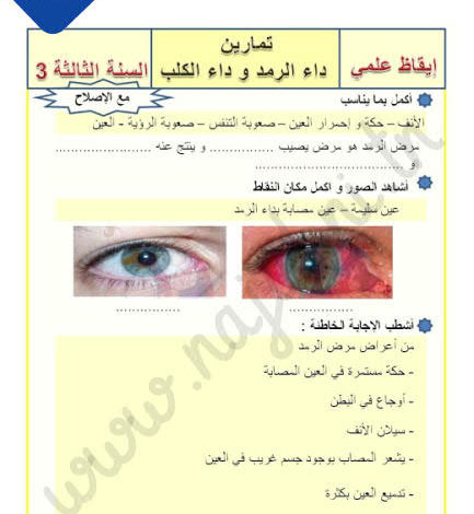 تمارين ايقاظ علمي سنة ثالثة ثلاثي ثالث