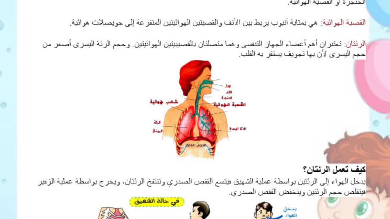 التنفس عند الإنسان والحيوان نجحني في إمتحاناتي ودراستي الإبتدائية الإعدادية والثانوية