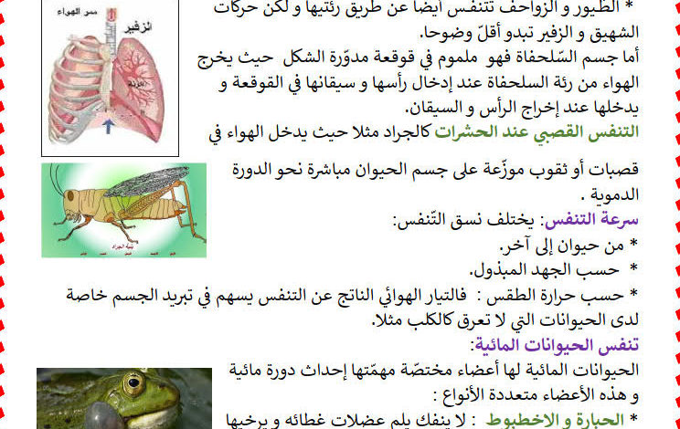 بحث حول التنفس عند الحيوانات السنة الرابعة