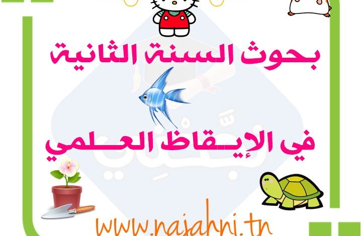 بحوث السنة الثانية