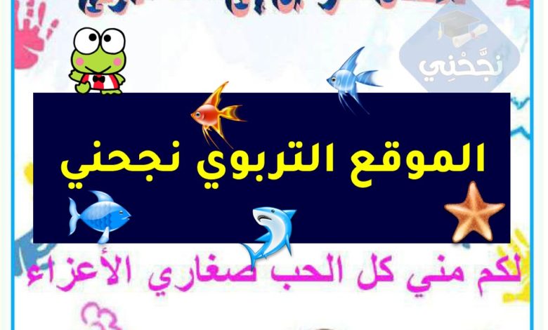 كراس التمارين السنة الأولى