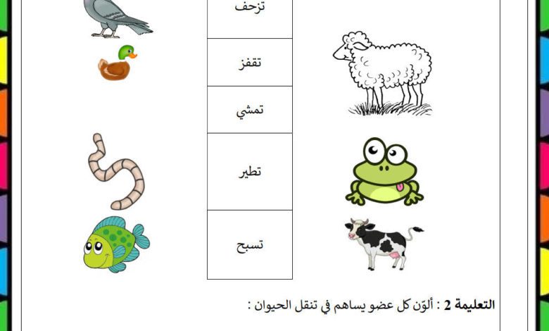 اختبار بداية السنة الثانية