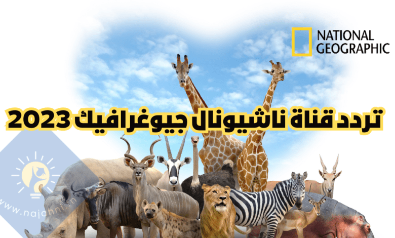 ترددات قناة ناشيونال جيوغرافيك أبو ظبي