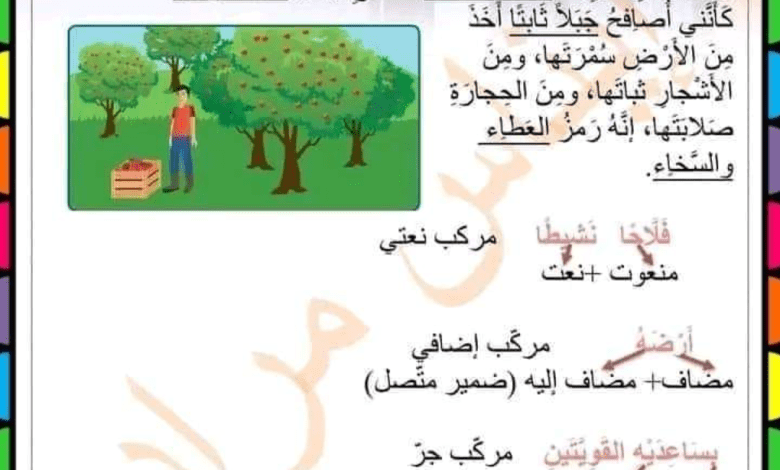 الجملة الاسمية و انواع المركبات السنة الرابعة