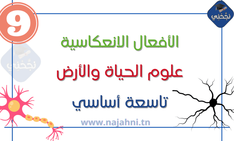 الأفعال الانعكاسية