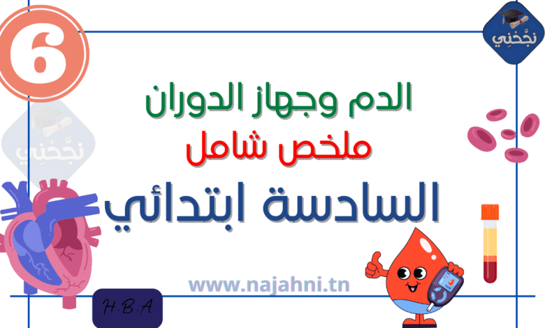 بحث حول محور الدم السنة السادسة