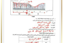 فرض موحد وتمارين الثلاثي الثالث علوم الأرض والحياة التاسعة أساسي