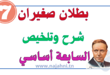 أقصوصة بطلان صغيران: موضوع و تلخيص مع الإجابة عن الأسئلة