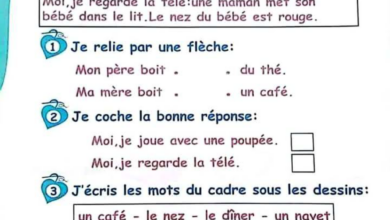 Module 4 -3eme année Français